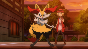 XY064 - Roussil de Serena.png