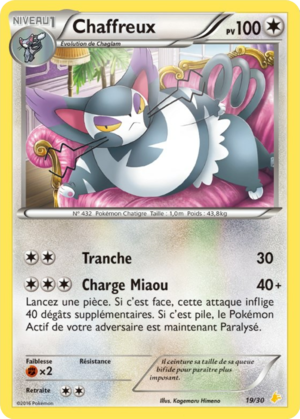 Carte XY Kit du Dresseur Pikachu Catcheur 19.png