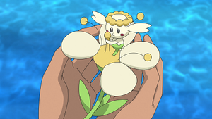 LV066 - Flabébé Fleur Blanche de Goh.png