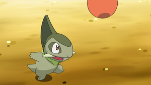 NB095 - Coupenotte d'Iris.png