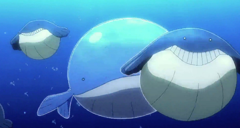 Fichier:Wailmer et Wailord sauvages - Film 17 Intro.png