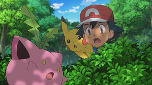 XY089 - Granivol.png