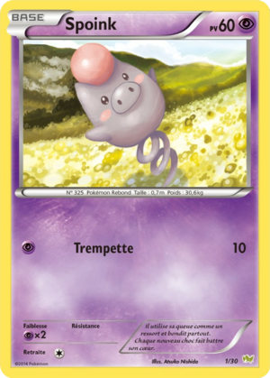 Carte XY Kit du Dresseur Bruyverne 1.png
