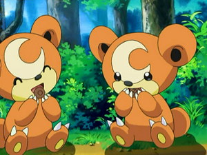 DP028 - Teddiursa.png