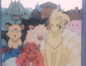 EP169 - Machopeur, Leveinard et Tauros d'un Dresseur.png