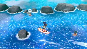 Expert Carabaffe.jpg