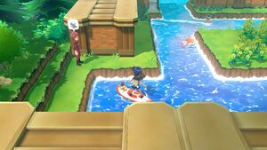 Expert Minidraco.jpg