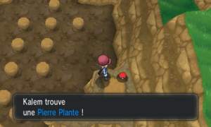 Route 8 Pierre Plante XY.png