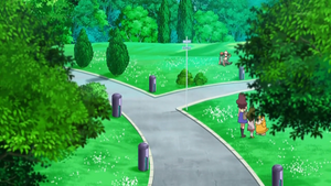 XY047 - Queulorior et Psykokwak d'un Dresseur.png