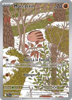 Marcacrin (Écarlate et Violet Aventures Ensemble 165)