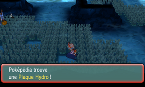 Chenal 129 Plaque Hydro ROSA.png