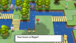 Route 209 Rappel DEPS.png