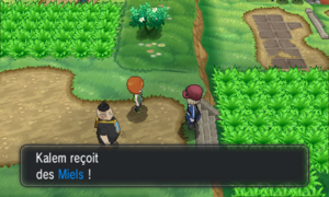 Route 5 Miel XY.png