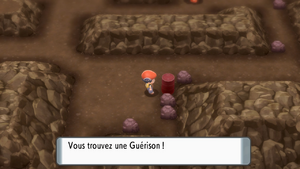 Île de Fer Guérison DEPS.png