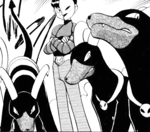 Démolosse Katz-PMS.png