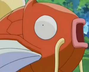 EP261 - Magicarpe du Vendeur de Magicarpe.png