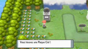 Ligue Pokémon Plaque Ciel DEPS.png