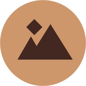 Miniature Type Roche NPSnap.png