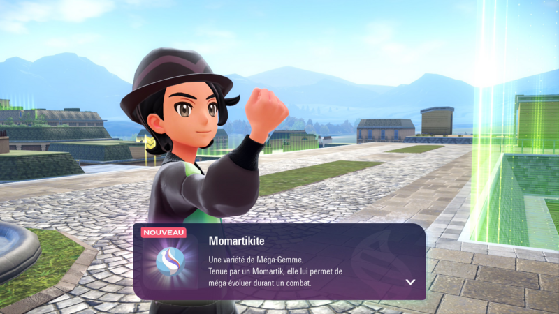 Fichier:Parc Montprélasse Momartikite LPZA.png
