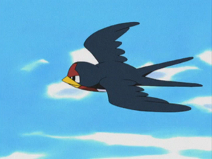 AG006 - Nirondelle de Sacha.png