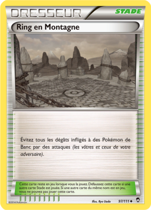 Carte XY Poings Furieux 97.png