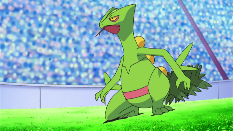 Fichier:Jungko de Sacha.png