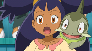 NB104 - Coupenotte d'Iris.png