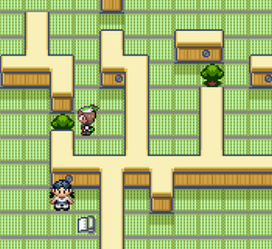 Parchemin maison des pièges.png