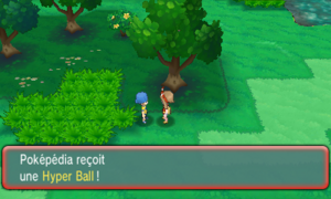 Route 102 Hyper Ball ROSA.png