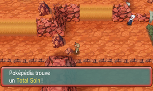 Sentier Sinuroc Total Soin 2 ROSA.png