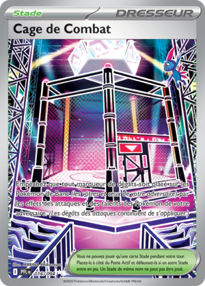 Carte Méga-Évolution Flammes Fantasmagoriques 116.png