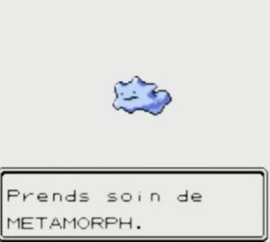 Métamorph chromatique échangé (OAC).jpeg