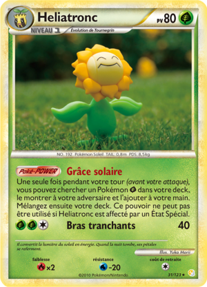 Carte HeartGold & SoulSilver 31.png
