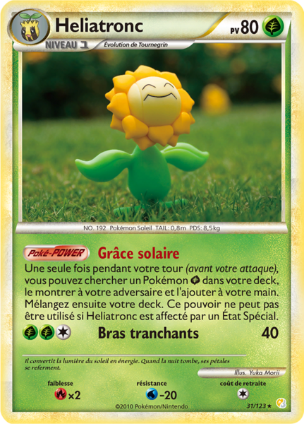 Fichier:Carte HeartGold & SoulSilver 31.png