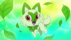 LV133 - Introduction de Poussacha.png