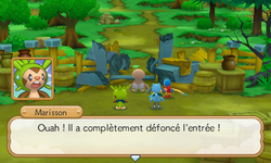 La première entrée complètement défoncée…