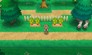 Route 117 Baie Nanana ROSA.png