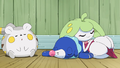 Togedemaru (de Chrys), Otaquin (de Néphie) et Candine (de Barbara)