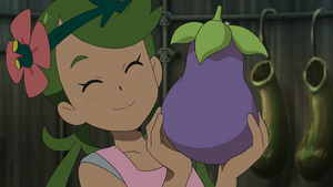 SL121 - Baie Myrte.png