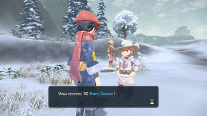 Bivouac des Neiges Baie Gowav LPA.png
