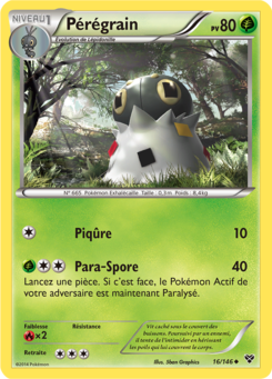 Pérégrain (XY 16)