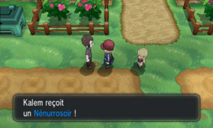 Champ de Baies Nénurrosoir XY.png