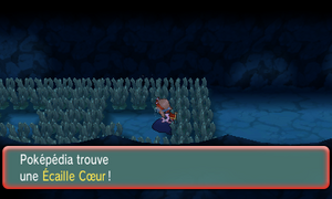 Chenal 126 Écaille Cœur ROSA.png