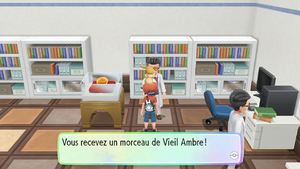 Musée des Sciences d'Argenta Vieil Ambre LGPE.png