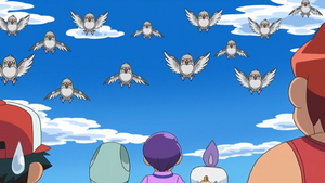 NB069 - Poichigeon.png