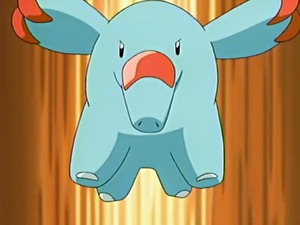 Phanpy de Sacha.png