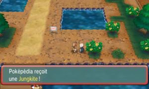 Route 114 Jungkite ROSA.png