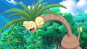 SL071 - Noadkoko d'Alola.png