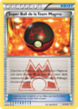 Super Ball de la Team Magma