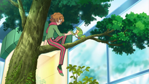 NB023 - Larveyette.png